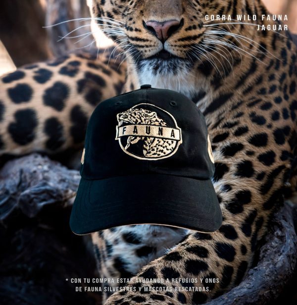 Gorra Negra Jaguar