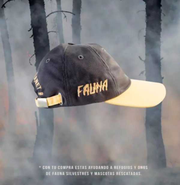 Gorra "Cóndor Andino"