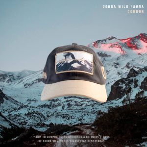 Gorra "Cóndor Andino"