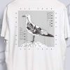 Polo Blanco «Gaviota»